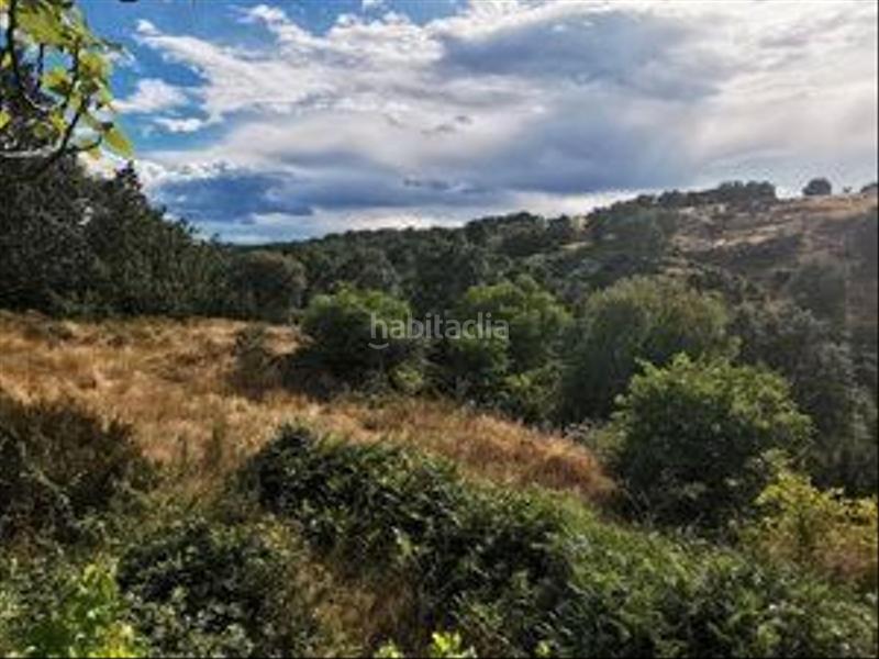 Foto b4b9df43-9efc-41a8-8d3d-7e0bb6e138dc. Rural plot in Jarandilla de la Vera