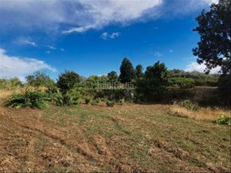 Foto c3c14125-30a4-4e7d-8c39-f98c42b710e9. Rural plot in Jarandilla de la Vera