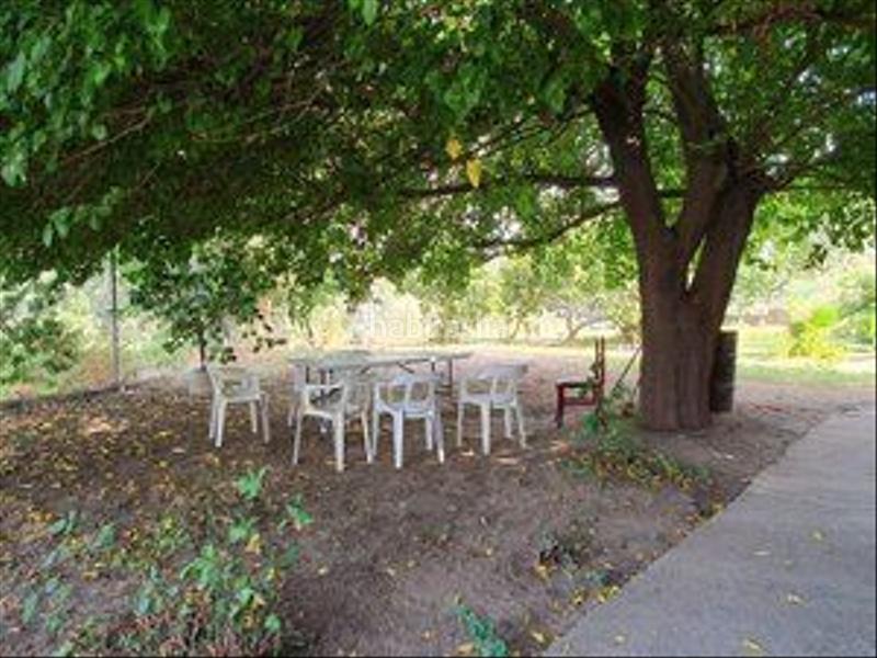 Foto 1144311b-a5c8-49f1-a0c3-ee313ef3cb4e. Rural plot in Jarandilla de la Vera