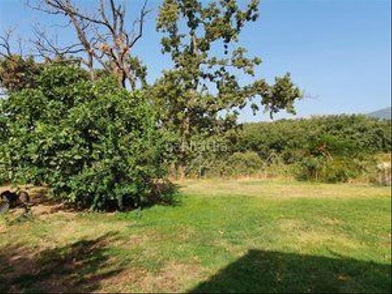 Foto 28942191-2313-4441-82e8-2914f4214463. Rural plot in Jarandilla de la Vera