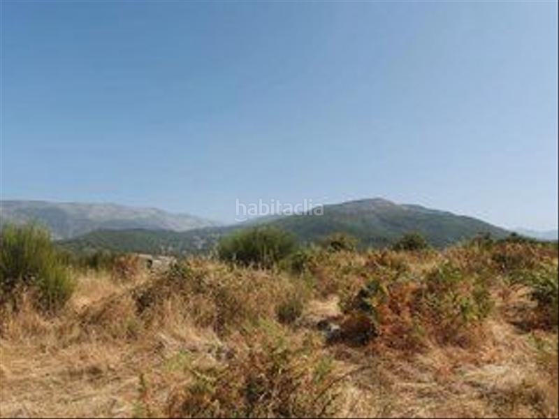 Foto 41469321-63e3-4855-84fa-e378ca2fe5db. Rural plot in Jarandilla de la Vera