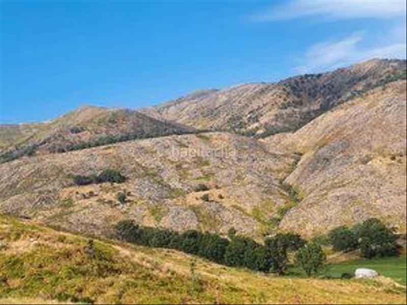 Foto 80407c6a-9da0-4bc5-b109-87a37a2f4d88. Rural plot in Jarandilla de la Vera