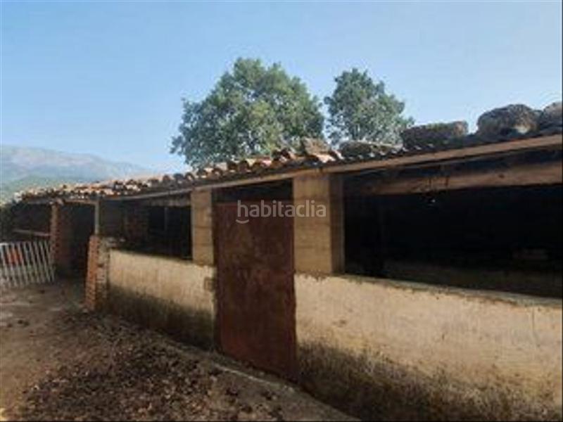 Foto 8041be31-3537-4b70-b85b-a74e331eb144. Rural plot in Jarandilla de la Vera