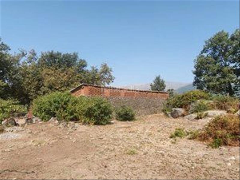 Foto a0227e02-4c0f-4d9f-bfd3-fee3ce2bc504. Rural plot in Jarandilla de la Vera