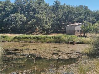 Landgut in Jarandilla de la Vera