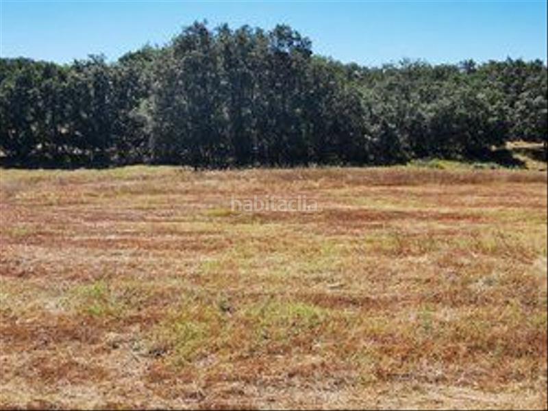 Foto 484a7ec0-23ca-40b0-ad40-6a1f8369274e. Rural plot in Jarandilla de la Vera