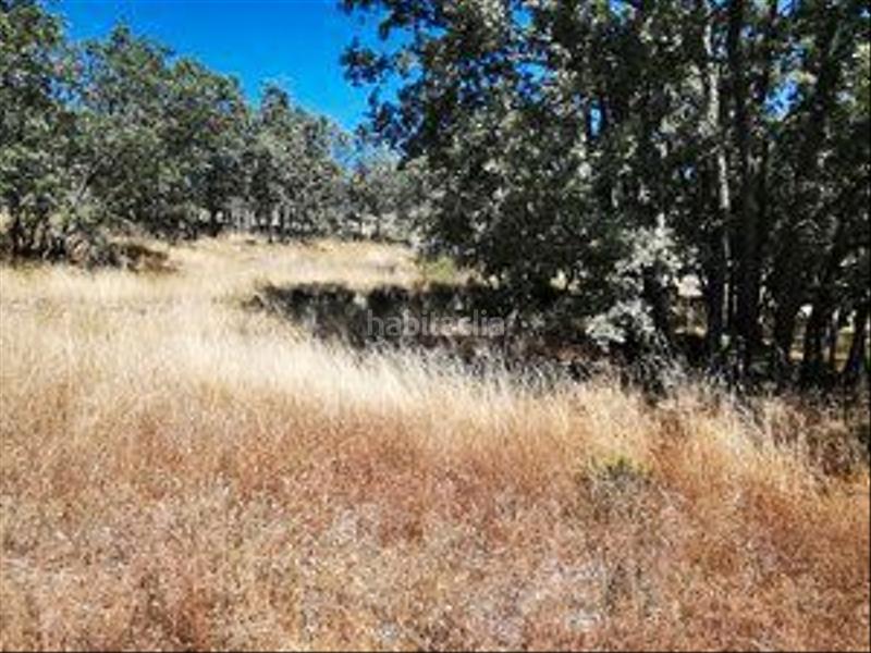 Foto 730147df-2395-4cf0-b807-a15308f4a6eb. Rural plot in Jarandilla de la Vera