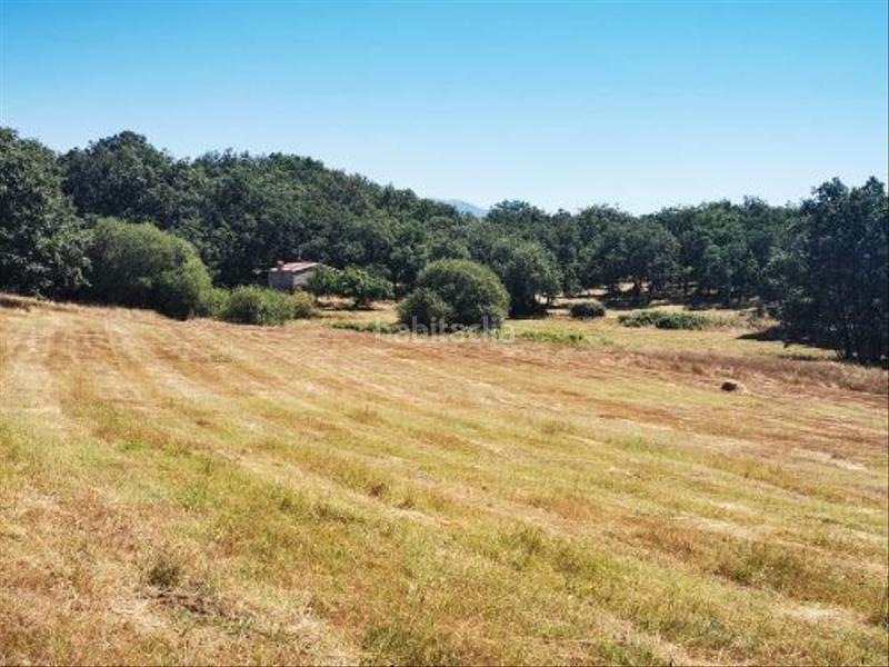 Foto ae9b68a3-20d9-4d24-aa36-ff1a8f118146. Rural plot in Jarandilla de la Vera