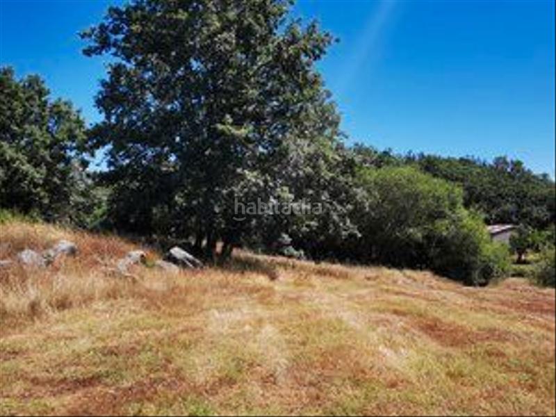 Foto e71e0238-809a-45a5-8e2c-031a8da066dc. Rural plot in Jarandilla de la Vera