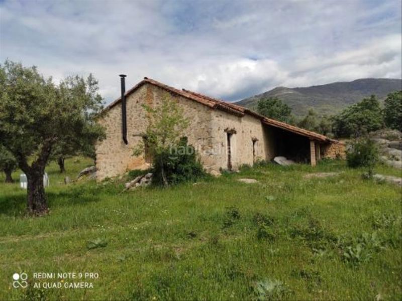 Foto de5eaf9f-80f0-429f-b149-a83b3b94eecd. Rural plot in Jarandilla de la Vera