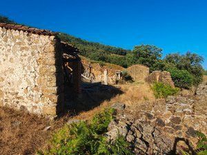 Finca r�stica en Losar de la Vera