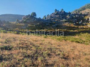 Foto 0cec5b95-0fd7-459b-9c6b-e8467c8a13e5. Finca rústica en Losar de la Vera