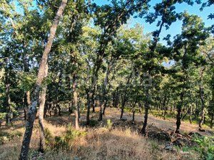 Foto b21ebd59-8dab-464f-831f-c984647ce7b0. Finca rústica en Losar de la Vera