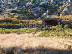 Foto c3d8e0c6-ebda-4ef4-859d-bc602c5b4be4. Finca rústica en Losar de la Vera