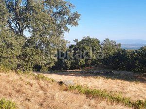 Foto eac11371-fbc6-40e6-a128-efd19cb32ded. Finca rústica en Losar de la Vera