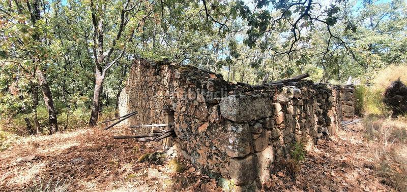 Foto 32196a9a-c9d7-4249-b09b-edce6f4827c2. Rural plot in Jarandilla de la Vera