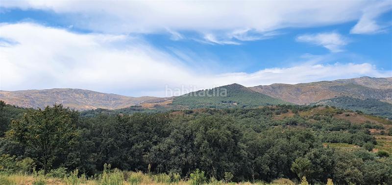 Foto 40981832-191a-48f5-8a1f-50e5059a11f9. Rural plot in Jarandilla de la Vera