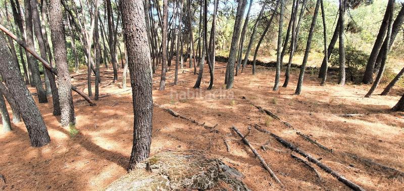 Foto 7d95a303-d533-4b39-b36b-87c1ca60d5af. Rural plot in Jarandilla de la Vera