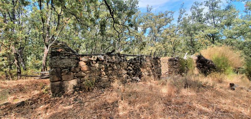 Foto 903083d2-2eec-41b7-998c-a16ad24b2ca9. Rural plot in Jarandilla de la Vera