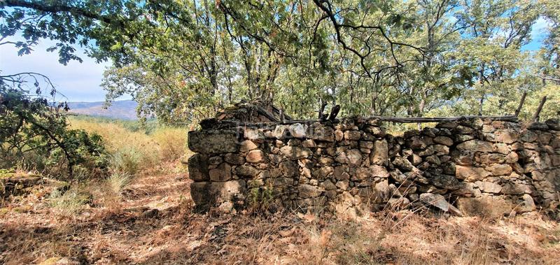 Foto cbaf6482-05fd-45e7-a199-a1f02171e6c2. Rural plot in Jarandilla de la Vera