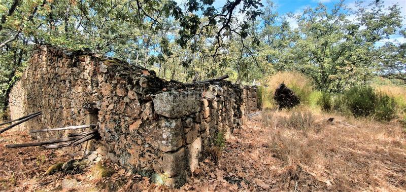 Foto cf3ff77f-7792-4189-943f-75aec651fe62. Rural plot in Jarandilla de la Vera