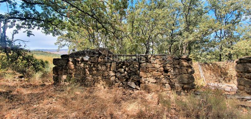 Foto d15f6d75-6dd6-4975-8a33-9278a4aed066. Rural plot in Jarandilla de la Vera