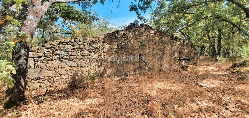 Foto f146cd35-57da-4860-afa9-b7e6639df9f9. Rural plot in Jarandilla de la Vera