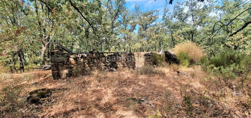 Foto f1a7e41e-b506-4eb4-abb4-b6614e19da6d. Rural plot in Jarandilla de la Vera