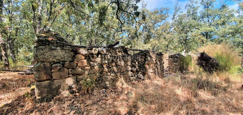 Foto fe826416-6b91-4060-8098-7ab1fef18d65. Rural plot in Jarandilla de la Vera