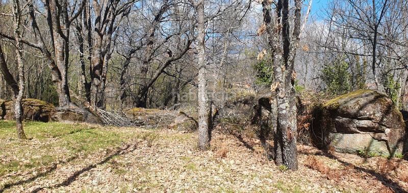 Foto 23ea3ff8-cdd1-46b9-be1b-6e9e60f75860. Rural plot in Jarandilla de la Vera