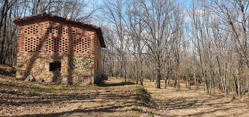 Foto 26a95e4f-1274-463d-b64c-6662f82bb6d7. Rural plot in Jarandilla de la Vera