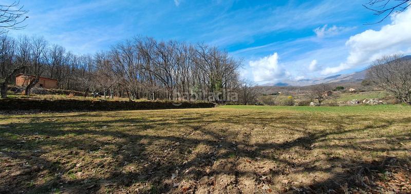 Foto 26c14b13-c59a-498a-8eb1-fabd95c8d522. Rural plot in Jarandilla de la Vera