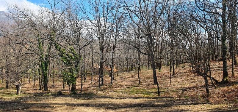 Foto 3571f646-460a-4364-9a7f-48c711f63305. Rural plot in Jarandilla de la Vera