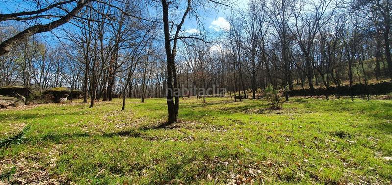 Foto 4a4a2e5f-67ef-42ec-8d8b-0eb1242a77dc. Rural plot in Jarandilla de la Vera