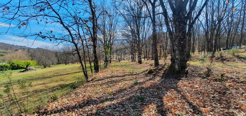 Foto 4e74d671-6f73-424b-82be-b6cbefd723af. Rural plot in Jarandilla de la Vera