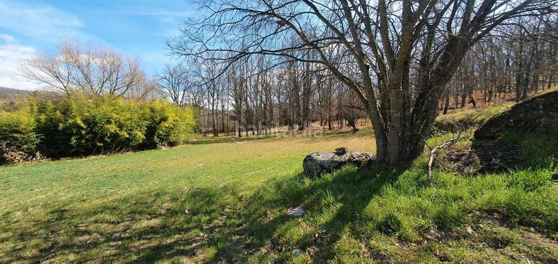 Foto 5da1748e-9b50-4f71-a8d9-b72fe2bd1bc2. Rural plot in Jarandilla de la Vera