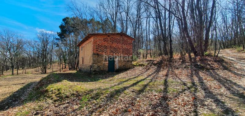 Foto 65475812-676e-40ce-86ae-54f668bf4a0e. Rural plot in Jarandilla de la Vera