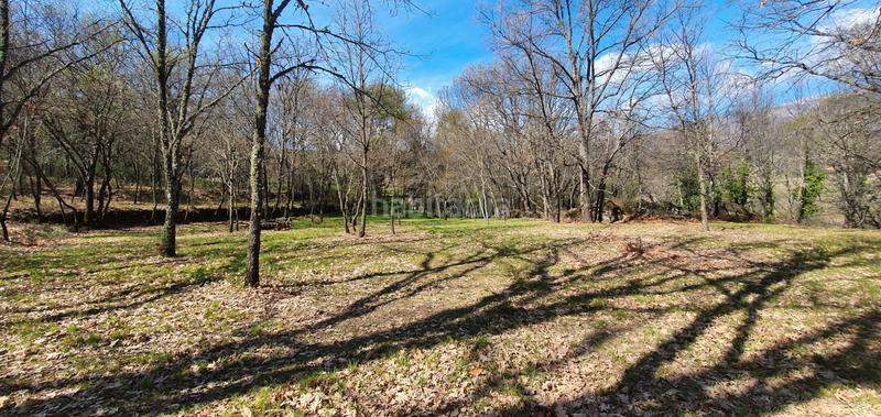 Foto 66f904cd-d622-4a0d-9f17-4372877b49fb. Rural plot in Jarandilla de la Vera