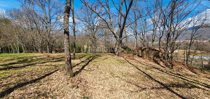 Foto 732267eb-d22f-4370-9dd0-ce047852ba0a. Rural plot in Jarandilla de la Vera