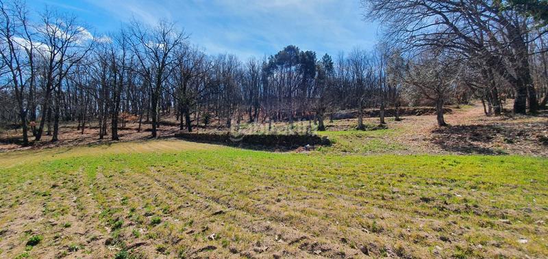 Foto 823f918a-e5b6-4687-aaef-3349845f70c7. Rural plot in Jarandilla de la Vera