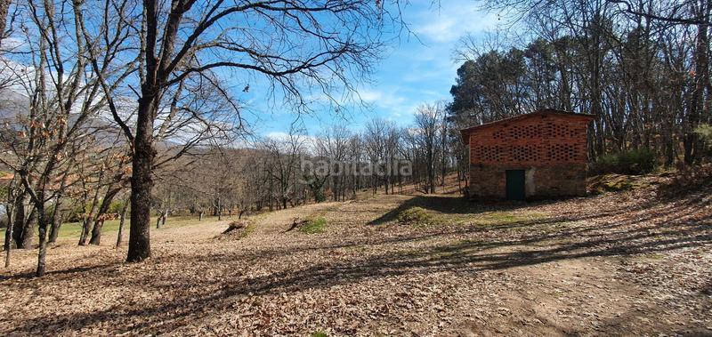 Foto 837c070b-9206-455f-8846-959b41c76485. Rural plot in Jarandilla de la Vera