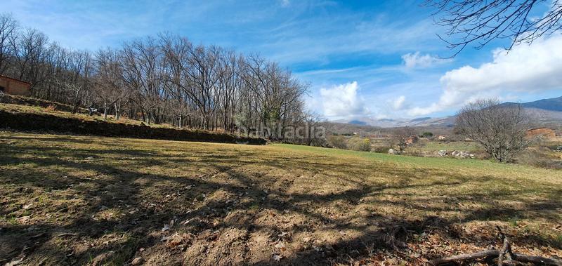 Foto a50ba071-77c3-4287-b16c-e9d743efcb70. Rural plot in Jarandilla de la Vera