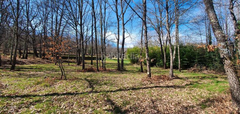 Foto a98aad91-ef28-4d71-9ca2-e0f50d3d6ac5. Rural plot in Jarandilla de la Vera