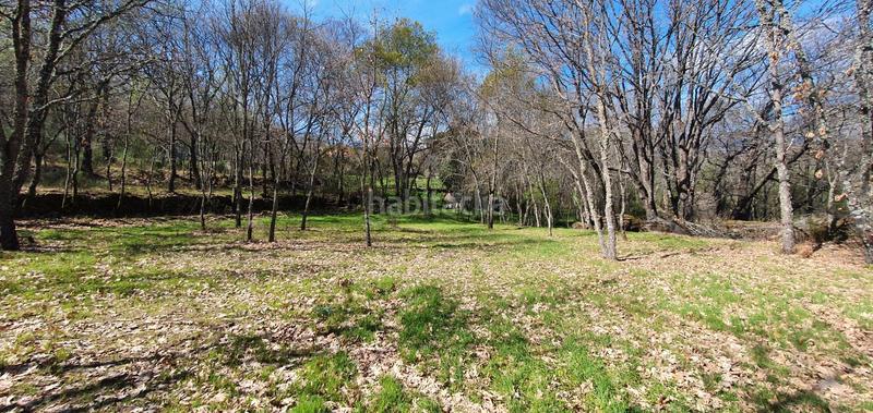 Foto b424ae81-5dfd-4817-83a3-e545c7fdbd31. Rural plot in Jarandilla de la Vera