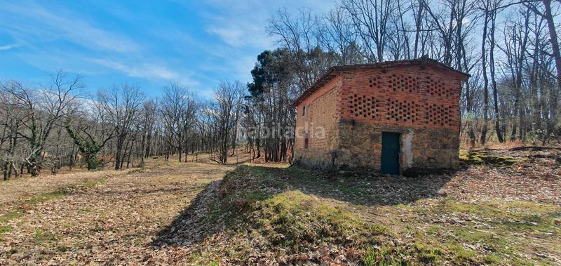 Foto b7a691c3-9aeb-40fe-8020-b414c51e1d20. Rural plot in Jarandilla de la Vera