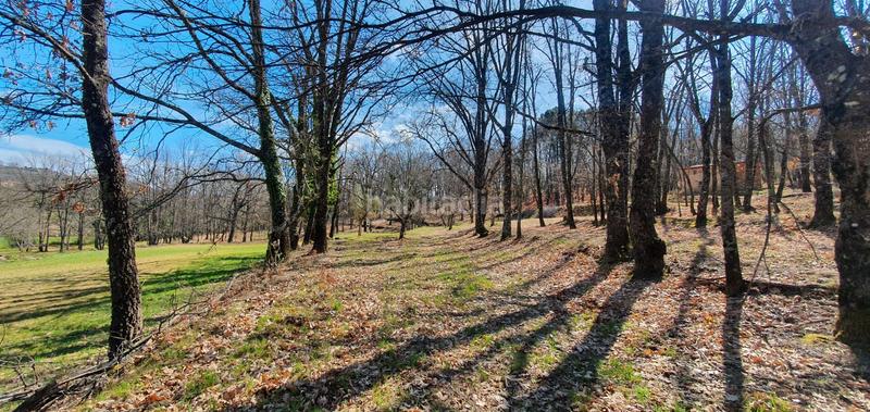 Foto b7e18e03-c80b-47a8-93e2-d9877fcb3780. Rural plot in Jarandilla de la Vera