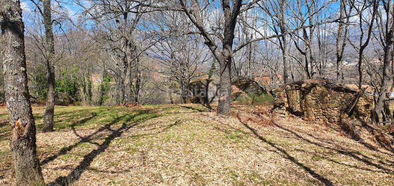 Foto c6975fae-7d5f-4d9c-8908-ab03bc6771f9. Rural plot in Jarandilla de la Vera