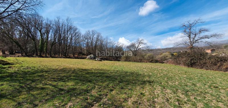 Foto cd67457c-f9f1-492b-9c83-42620ac16022. Rural plot in Jarandilla de la Vera