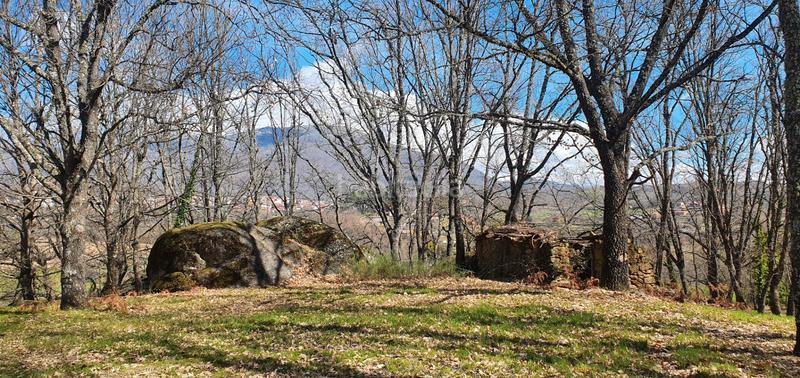 Foto d24edae0-7d17-4ebf-afa2-5382187f14c4. Rural plot in Jarandilla de la Vera