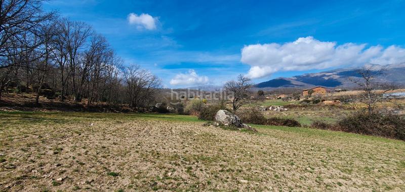 Foto d551127b-4565-4fa9-bc93-bbd545cd9204. Rural plot in Jarandilla de la Vera